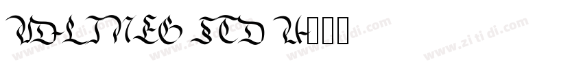 VD-lineg Std U字体转换